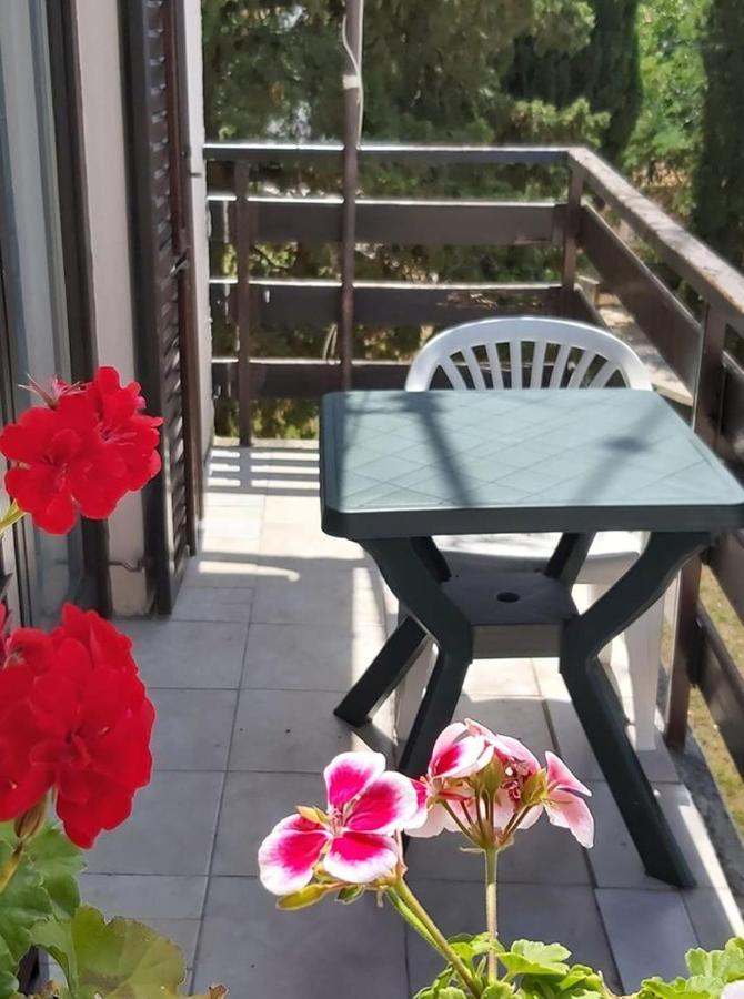 Apartmani Svitlana Sukosan Bagian luar foto