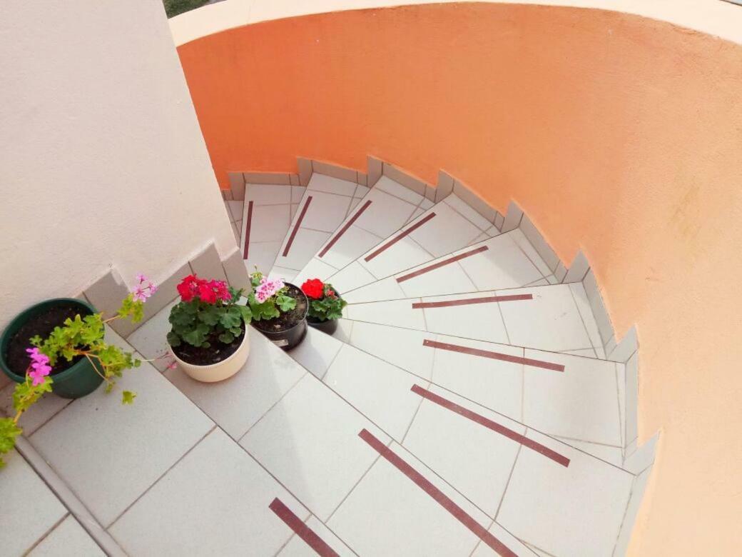 Apartmani Svitlana Sukosan Bagian luar foto